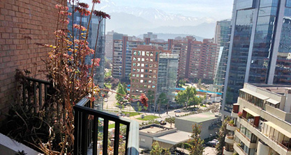 Las Condes, Flor de Azucena